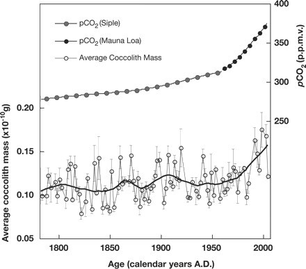 Kokokoliter vid högre CO2